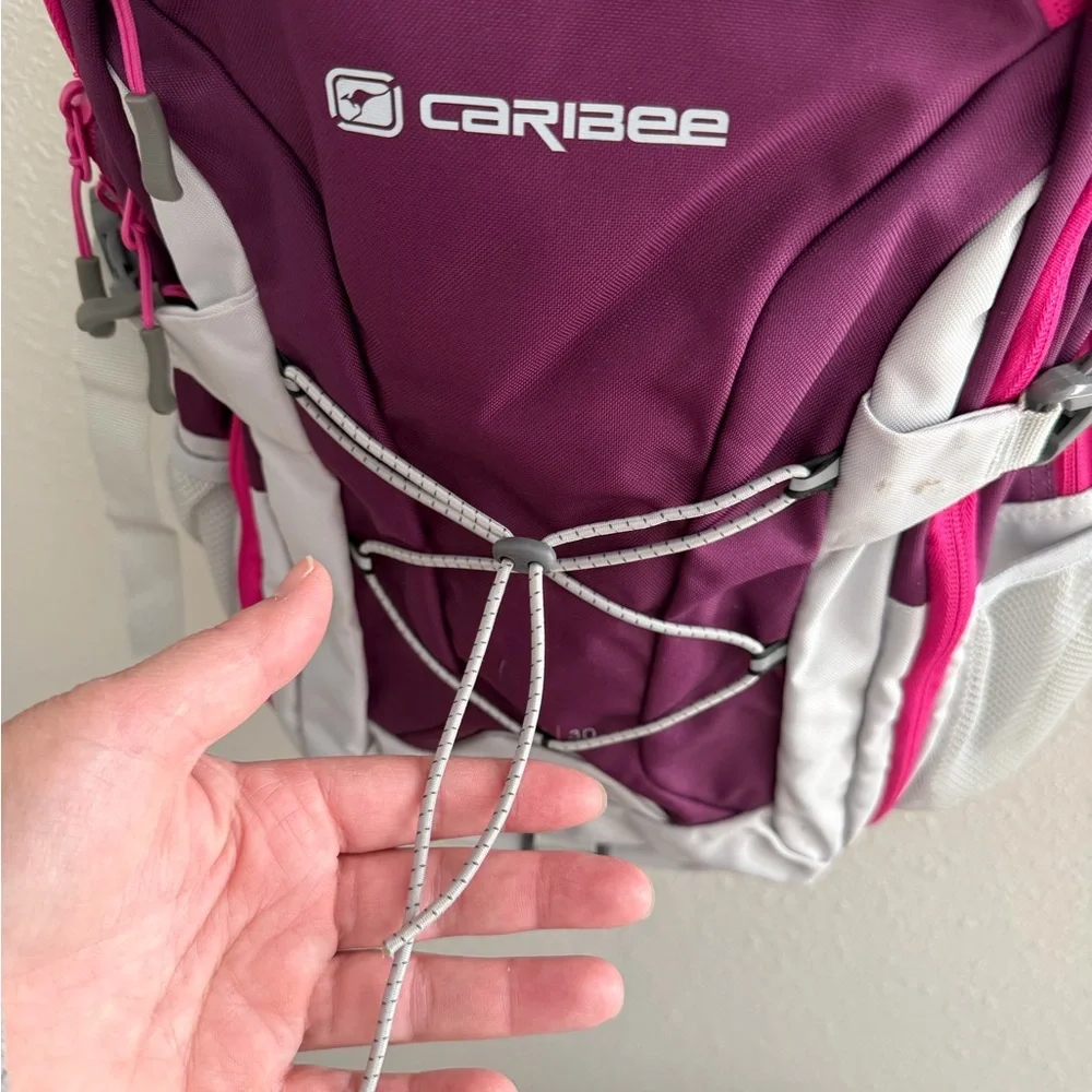 Caribee Apache 30 Purple and Pink Backpack - Picture 3 of 13